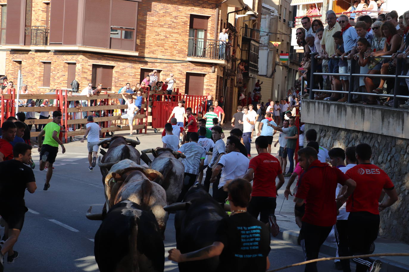 Fotos: Alfaro: último día de fiestas