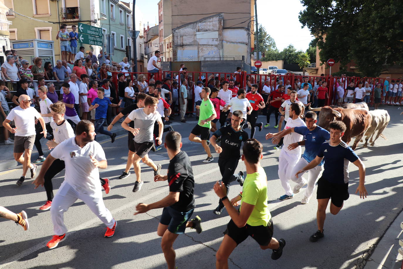 Fotos: Alfaro: último día de fiestas