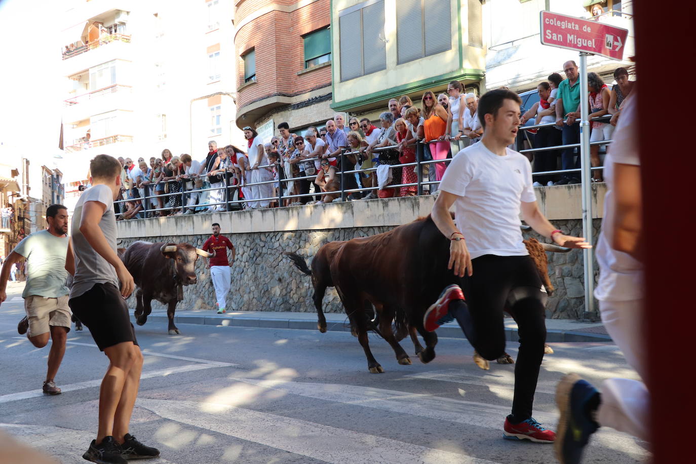 Fotos: Alfaro: último día de fiestas