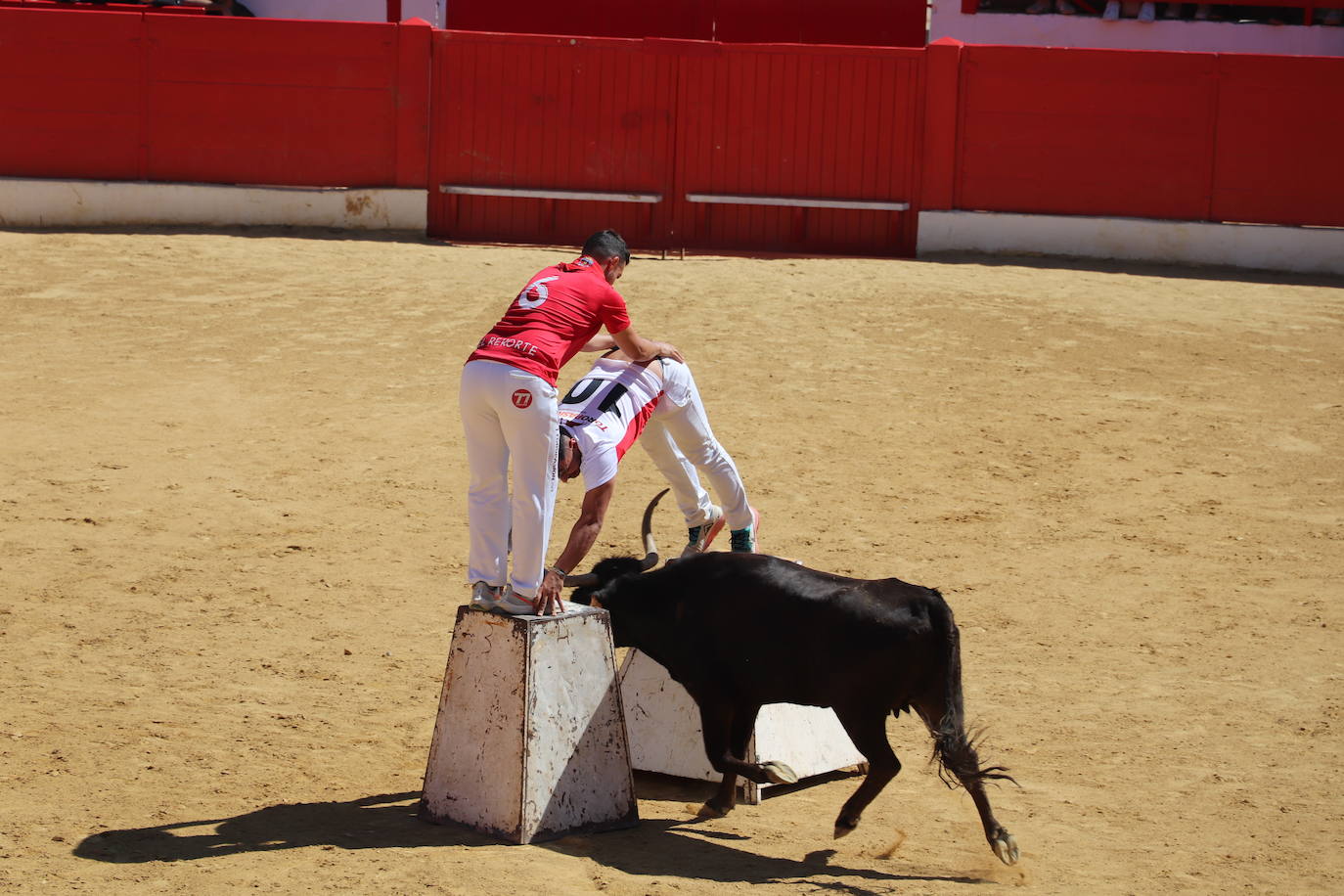 Fotos: Día joven en las fiestas de Alfaro