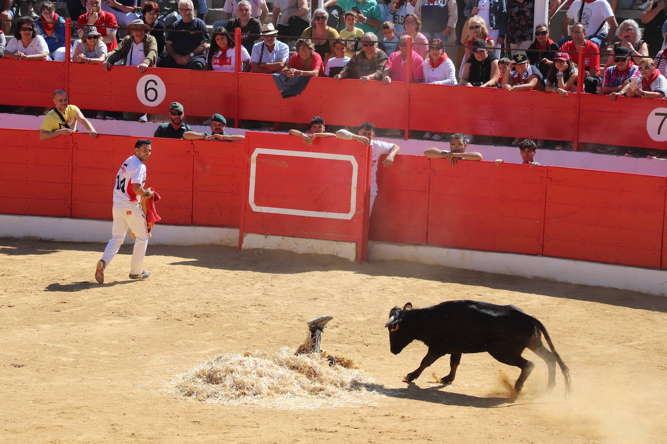 Fotos: Día joven en las fiestas de Alfaro