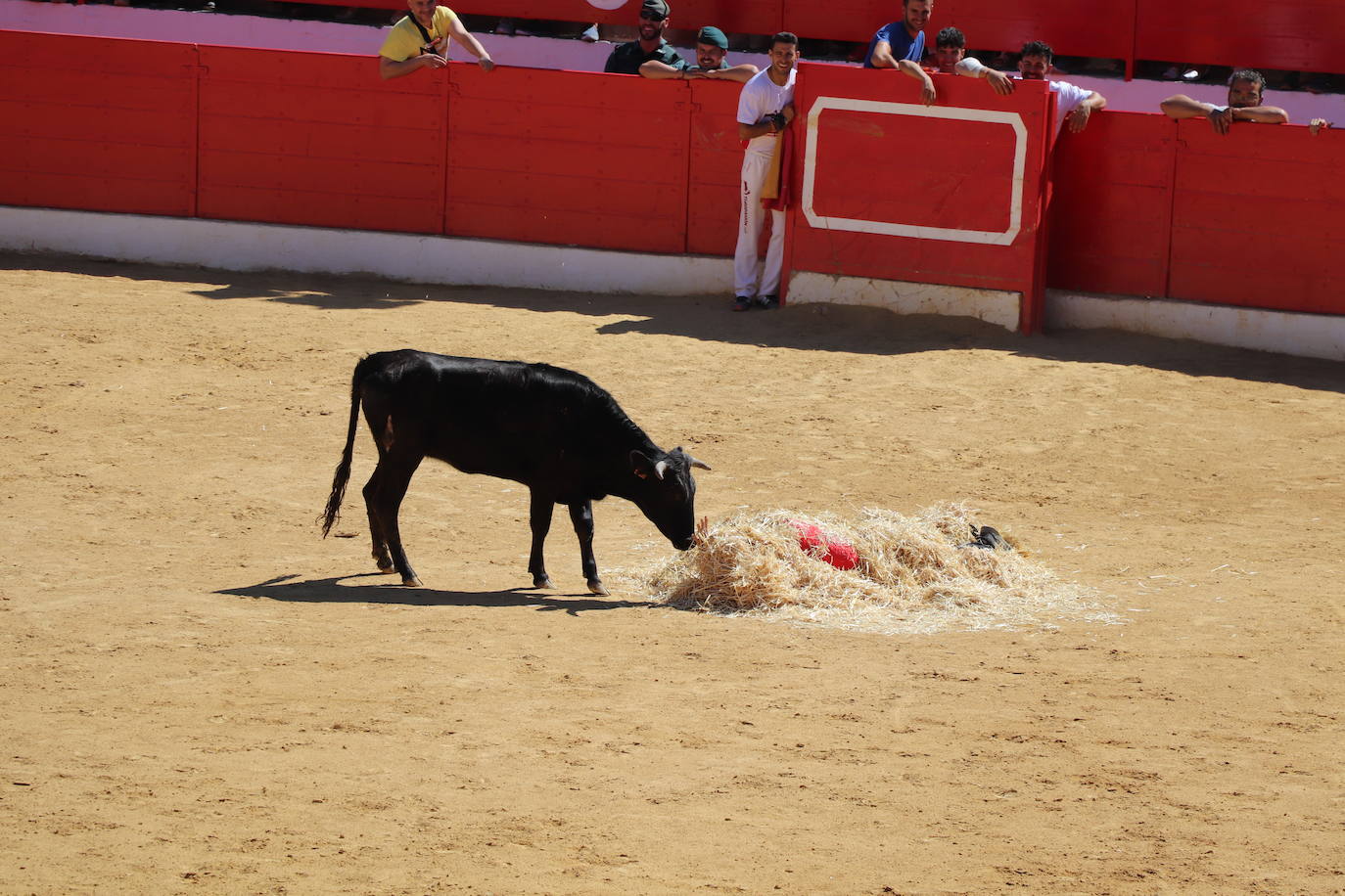 Fotos: Día joven en las fiestas de Alfaro