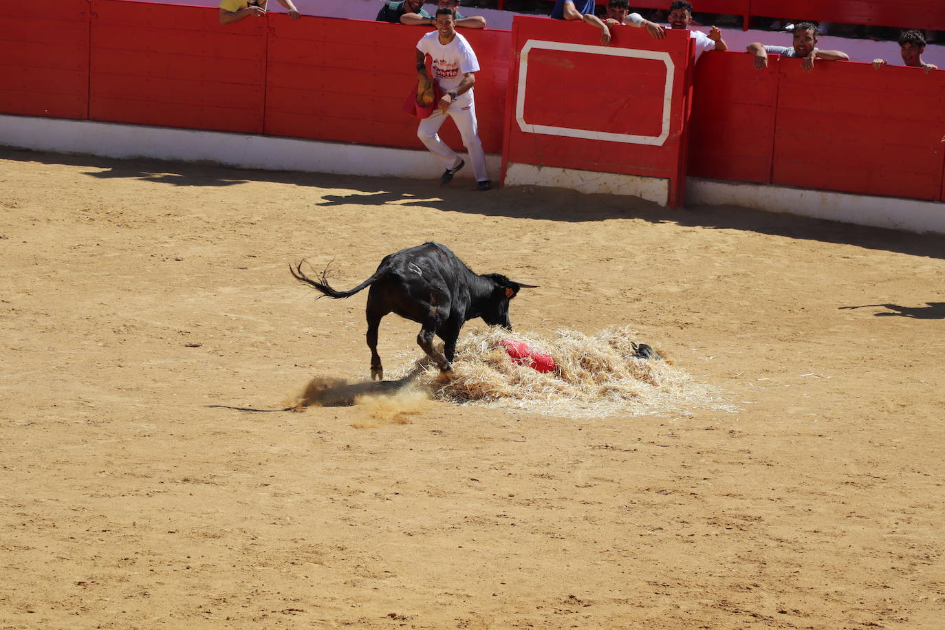 Fotos: Día joven en las fiestas de Alfaro