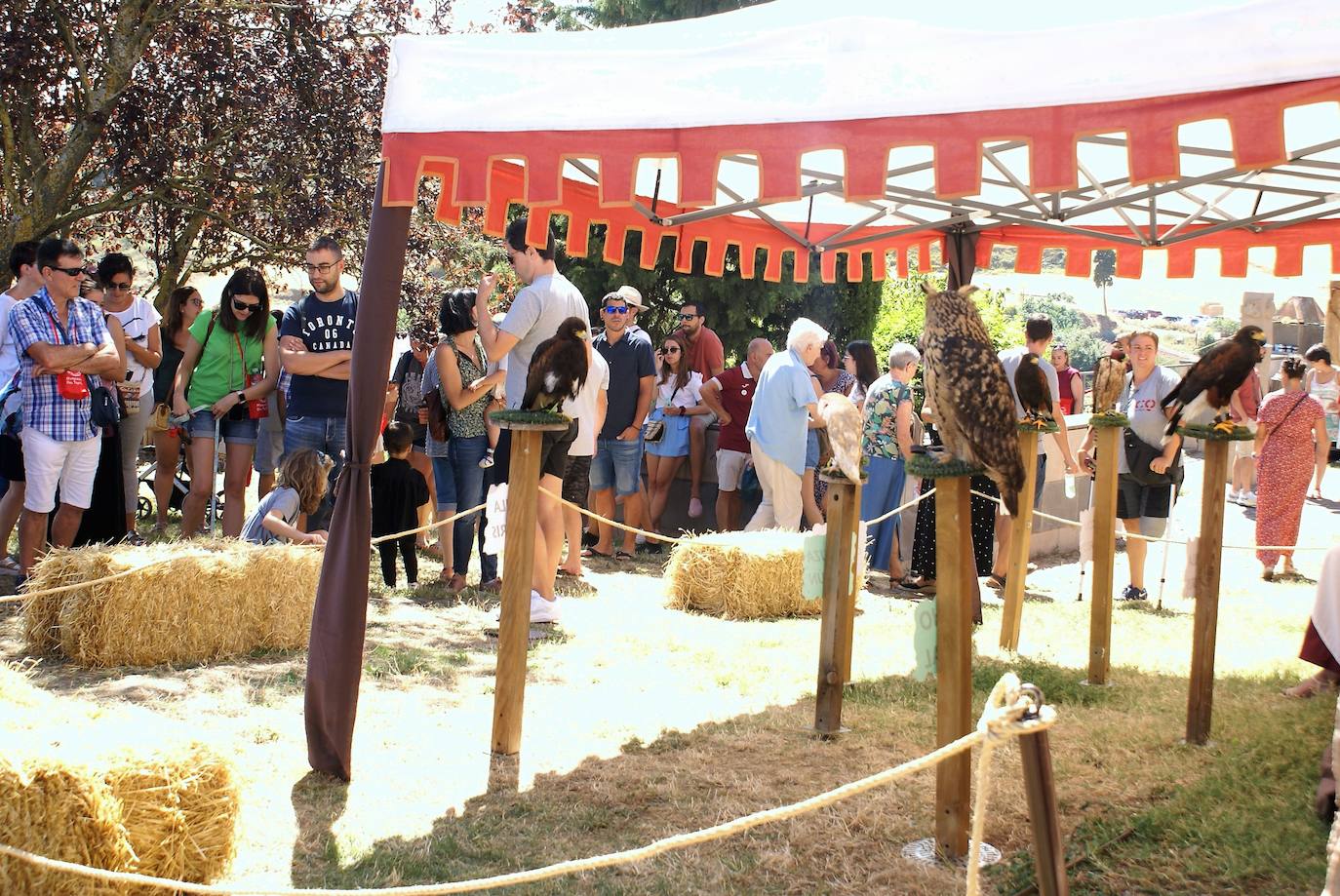 Fotos: Mercado del Trato de Ventosa