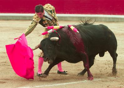 Imagen secundaria 1 - Los últimos pases: despedida en San Mateo 2001 y una faena en Santo Domingo el mismo año. 