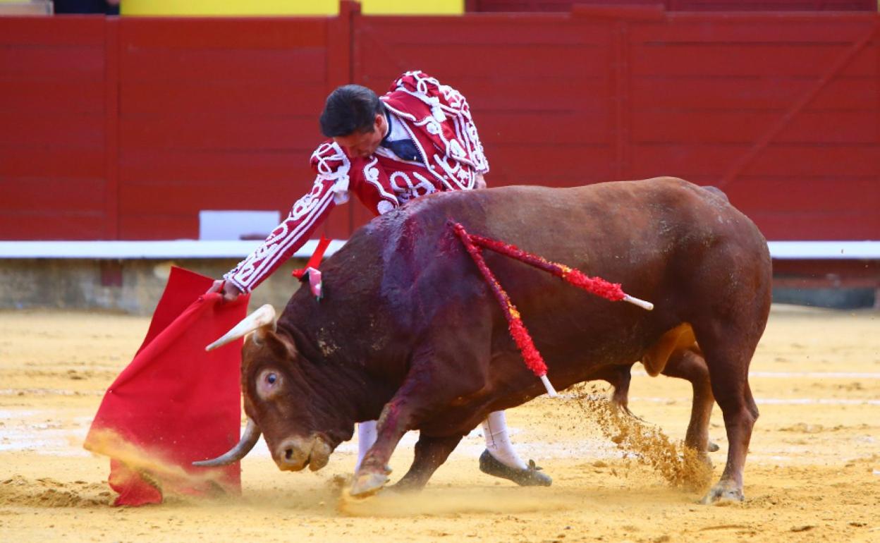 Urdiales da un derechazo al toro al que cortó una oreja. 