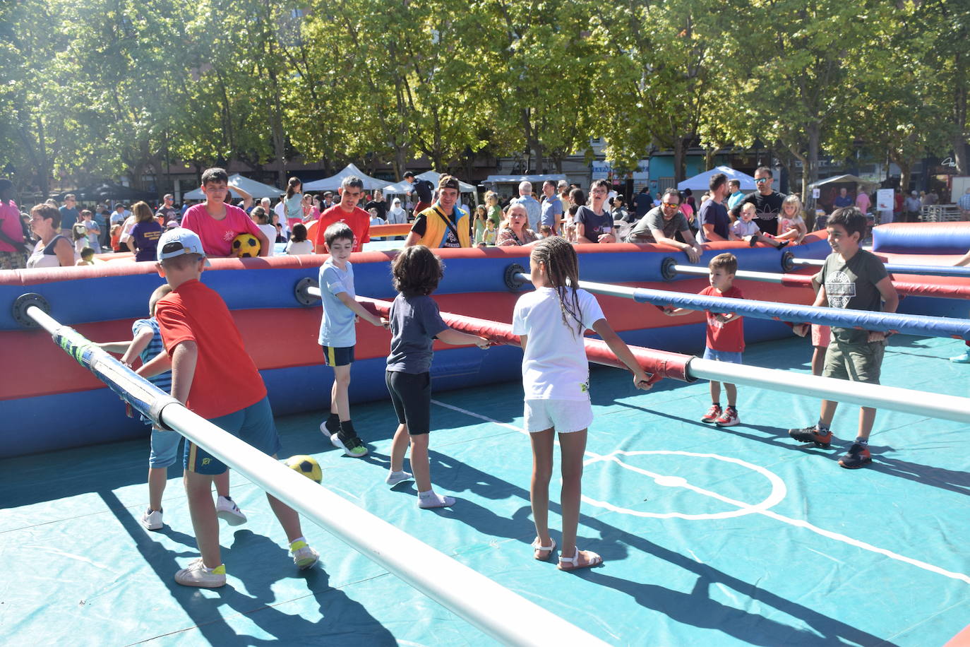 Fotos: Celebración del Día Vecinal en Logroño