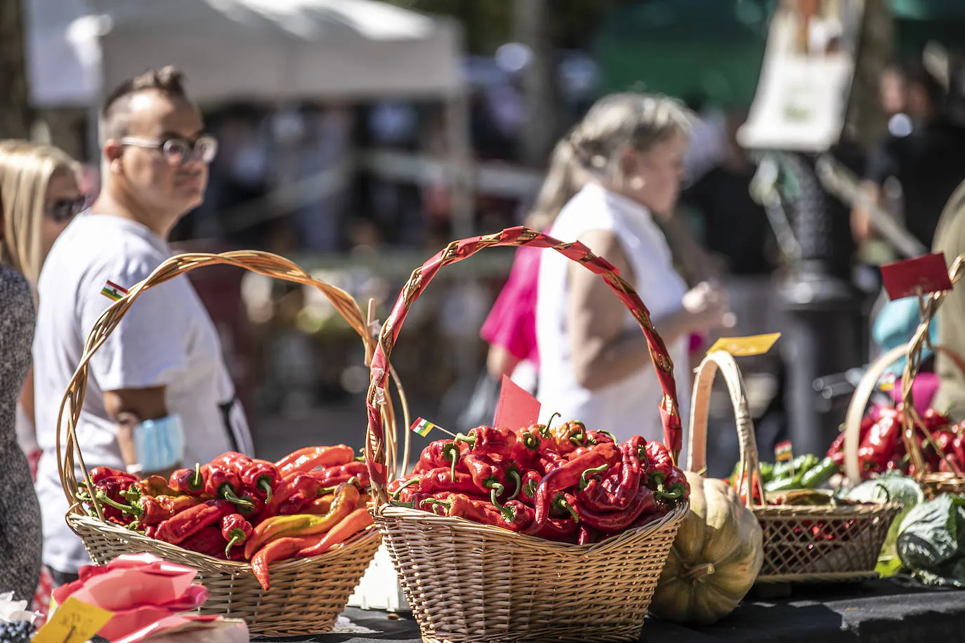 Fotos: 53 Concurso agrícola de La Rioja