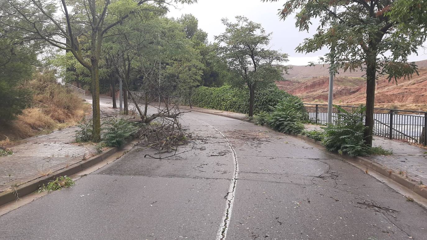 Fotos: Los daños de la tormenta en Arnedo
