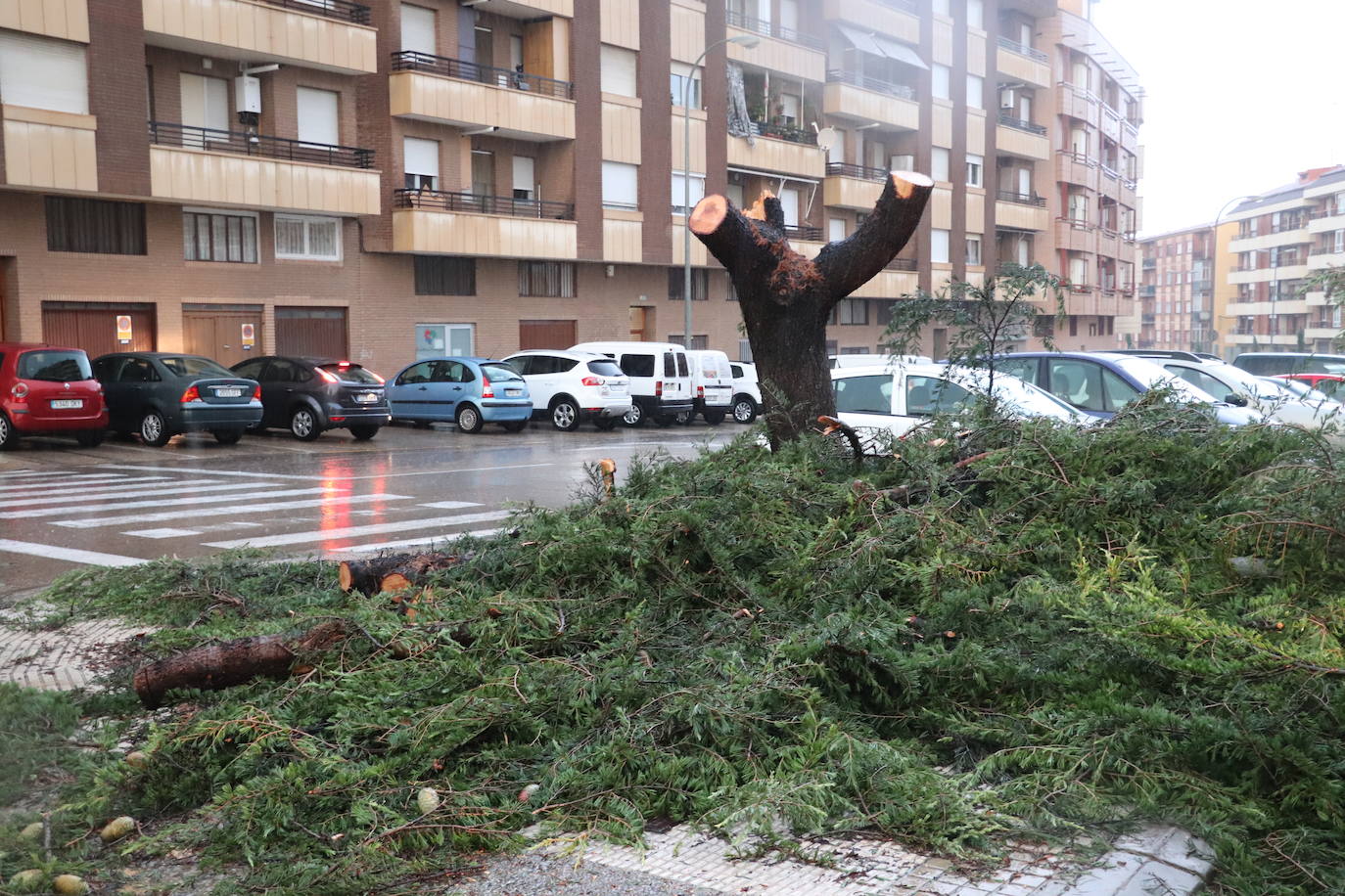 Fotos: Así ha quedado Arnedo tras la tormenta