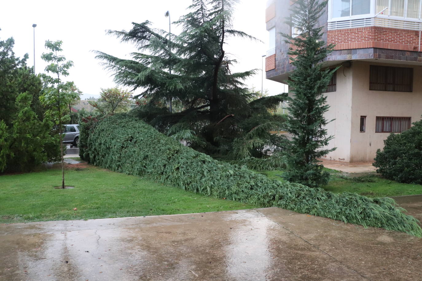 Fotos: Así ha quedado Arnedo tras la tormenta