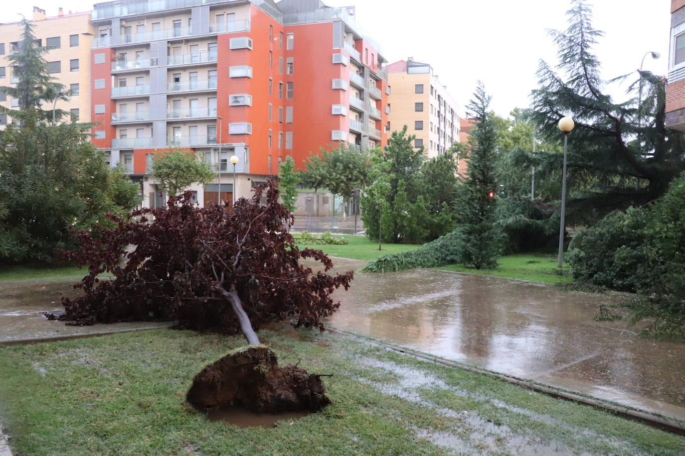 Fotos: Así ha quedado Arnedo tras la tormenta