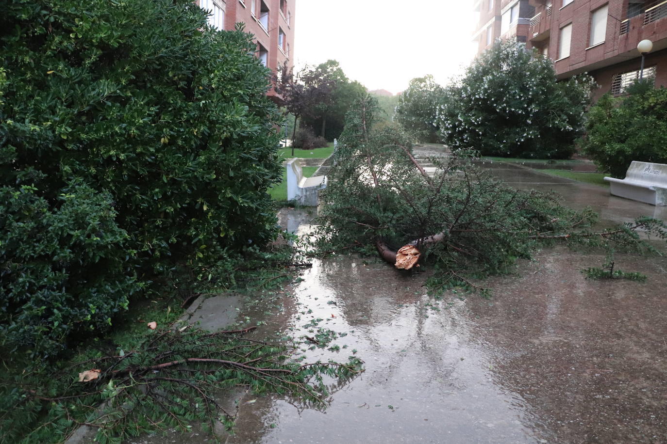 Fotos: Así ha quedado Arnedo tras la tormenta