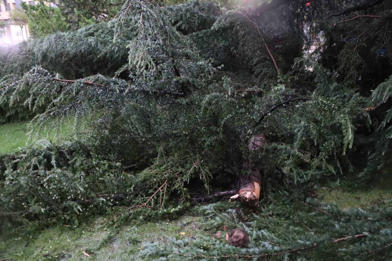 Fotos: Así ha quedado Arnedo tras la tormenta