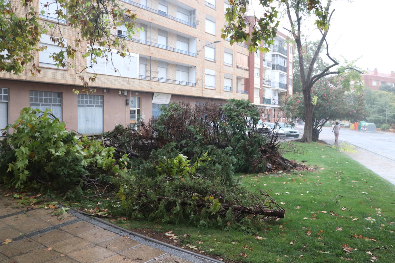 Fotos: Así ha quedado Arnedo tras la tormenta