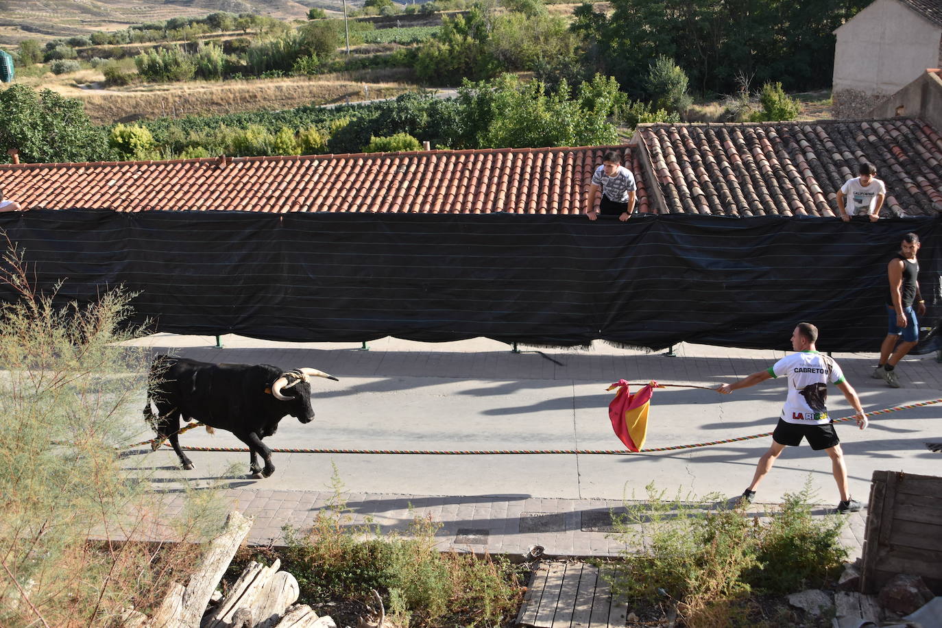 Fotos: Cabretón recupera la suelta de toros ensogados