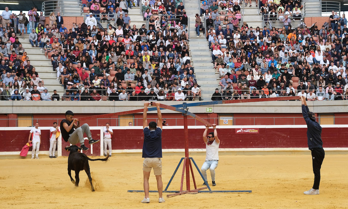 Fotos: Las vaquillas llenan La Ribera el domingo