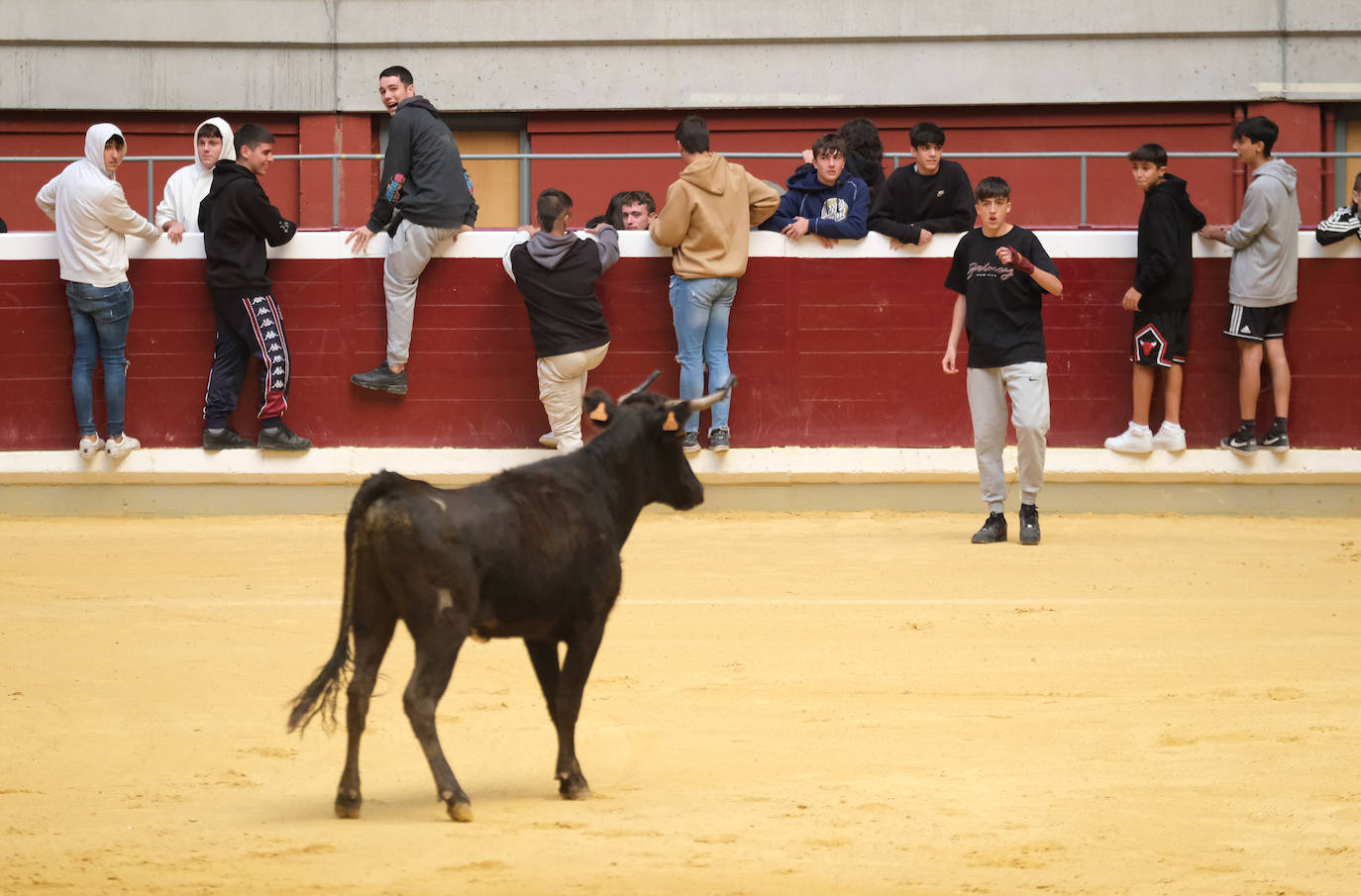 Fotos: Las vaquillas llenan La Ribera el domingo