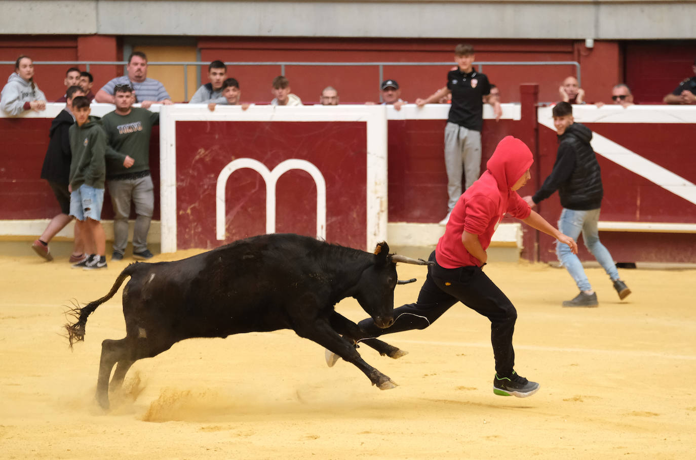 Fotos: Las vaquillas llenan La Ribera el domingo