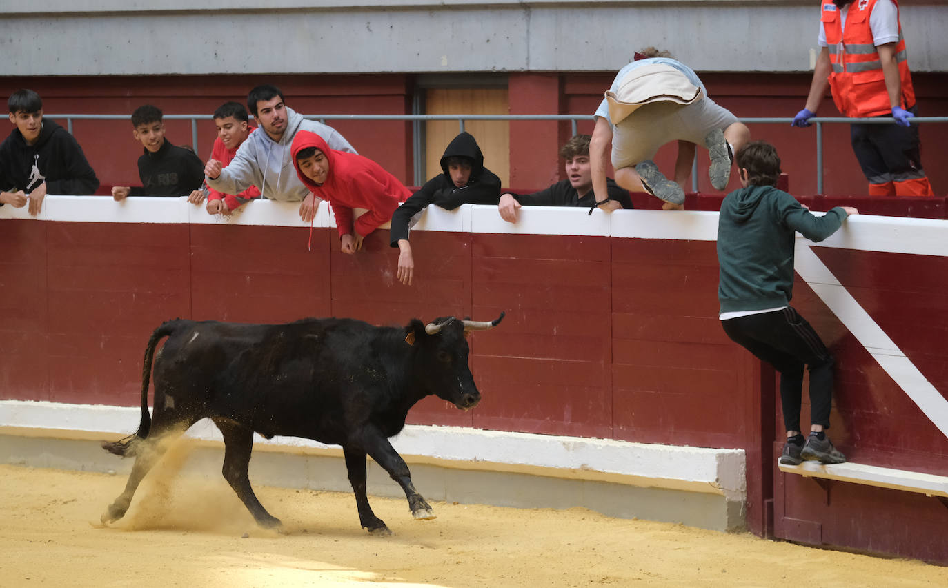 Fotos: Las vaquillas llenan La Ribera el domingo