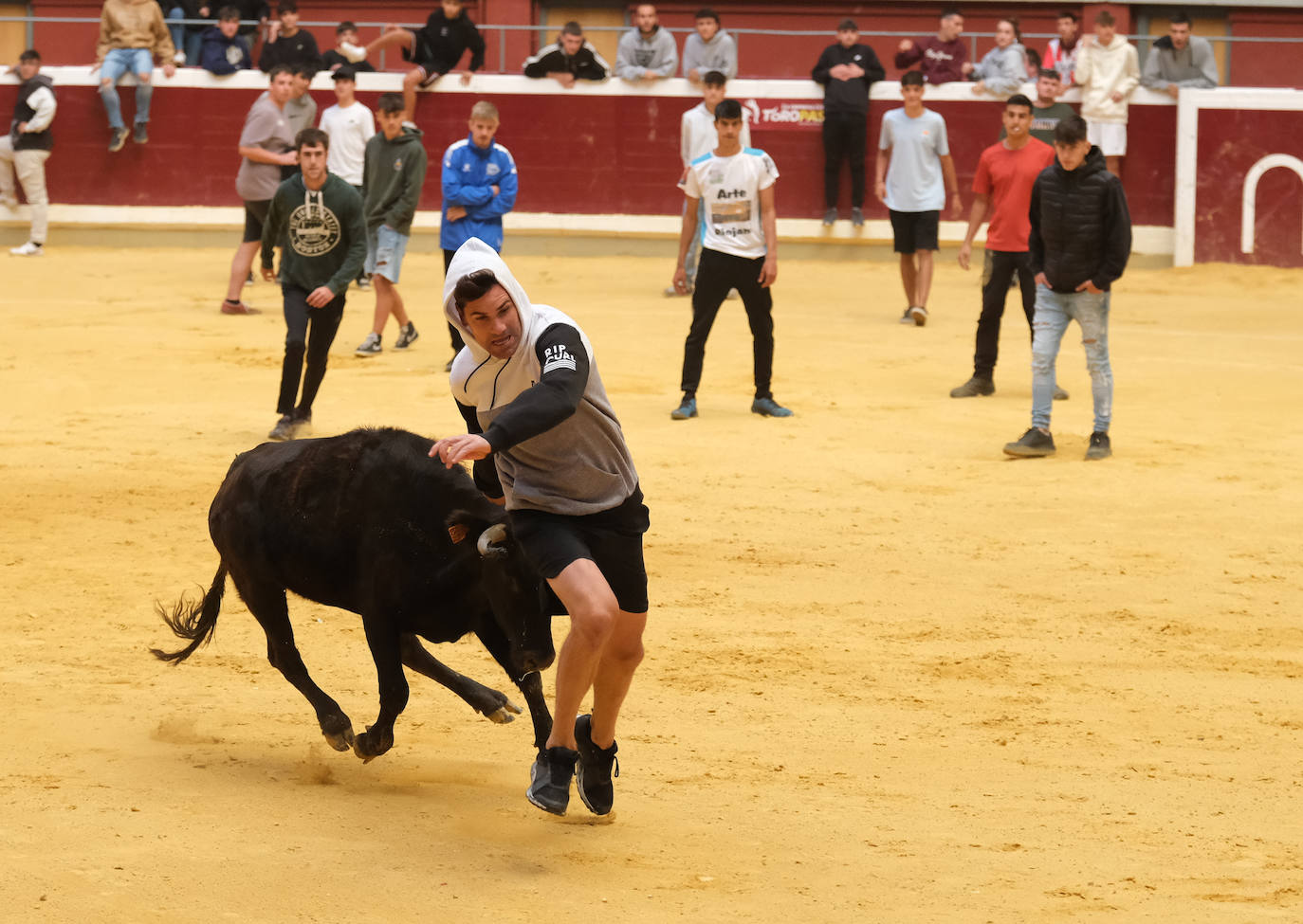 Fotos: Las vaquillas llenan La Ribera el domingo