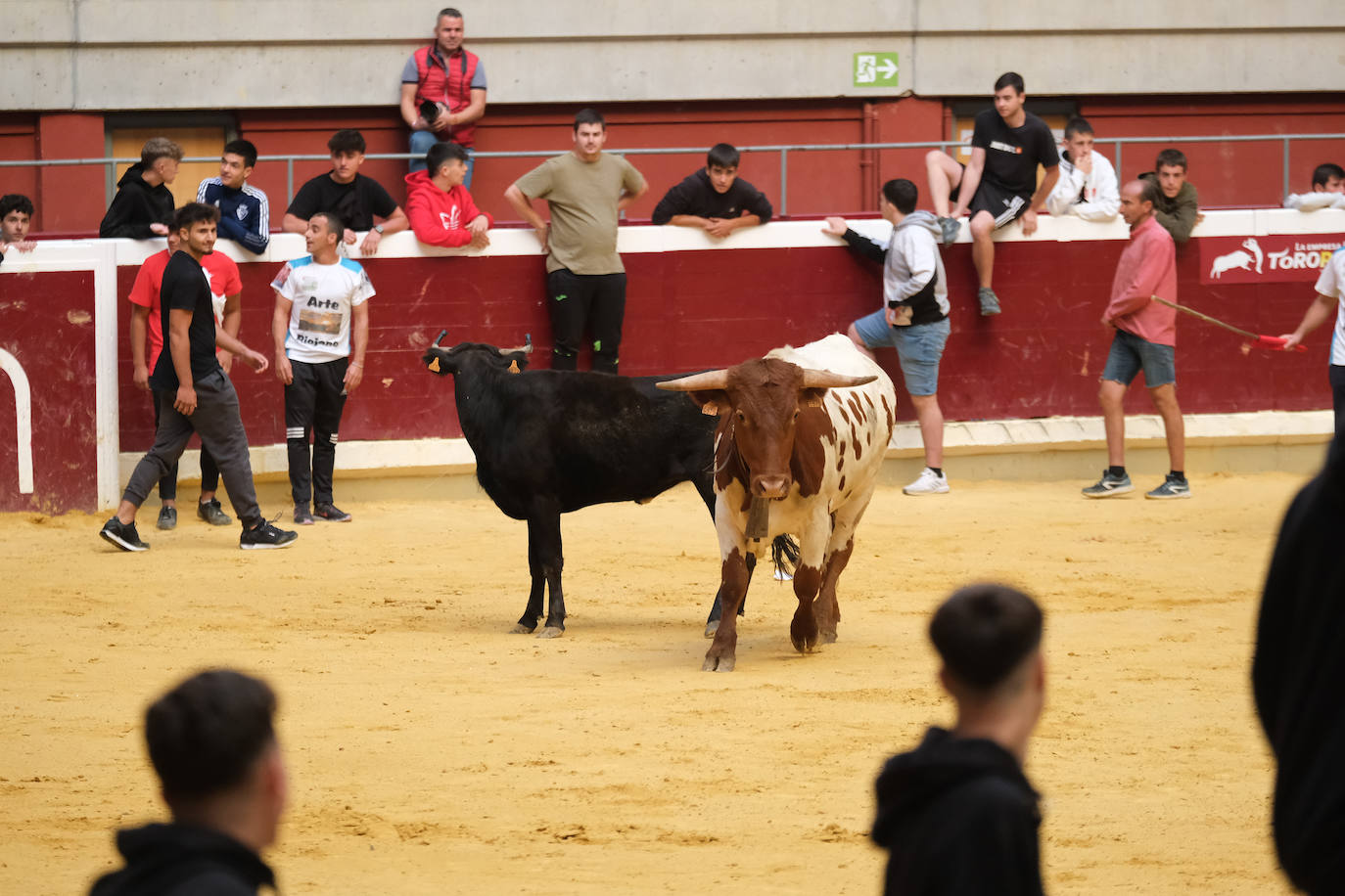 Fotos: Las vaquillas llenan La Ribera el domingo