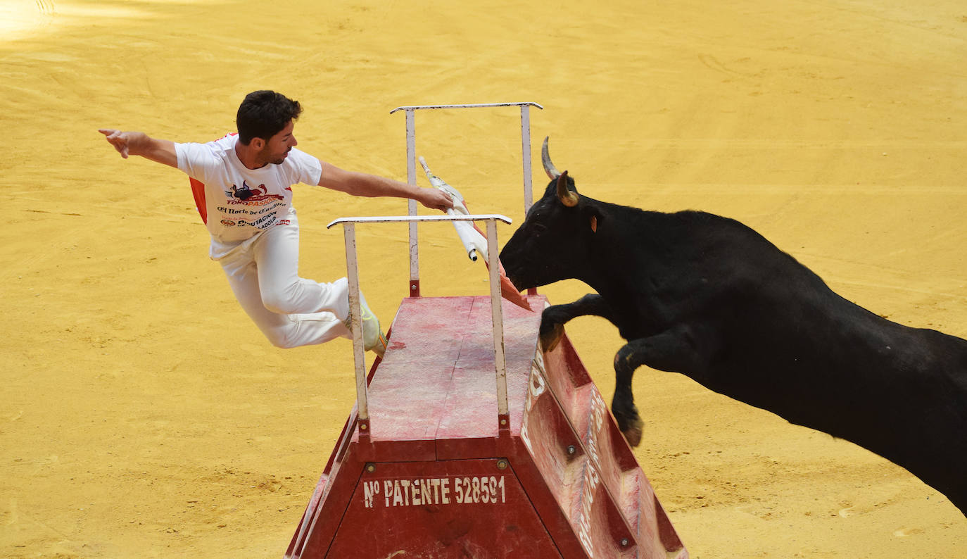 Fotos: Animación y saltos en las vaquillas del martes