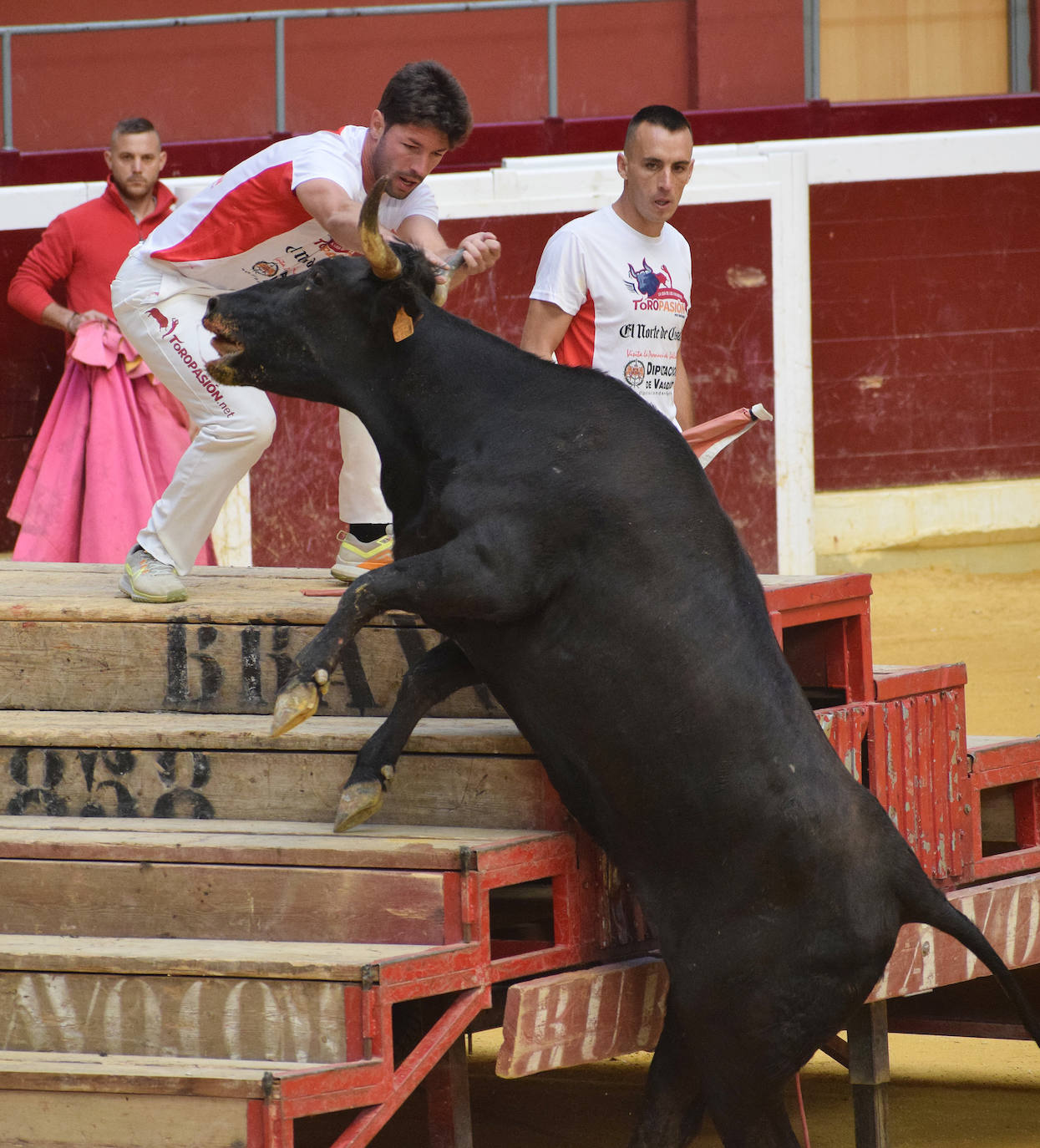 Fotos: Animación y saltos en las vaquillas del martes