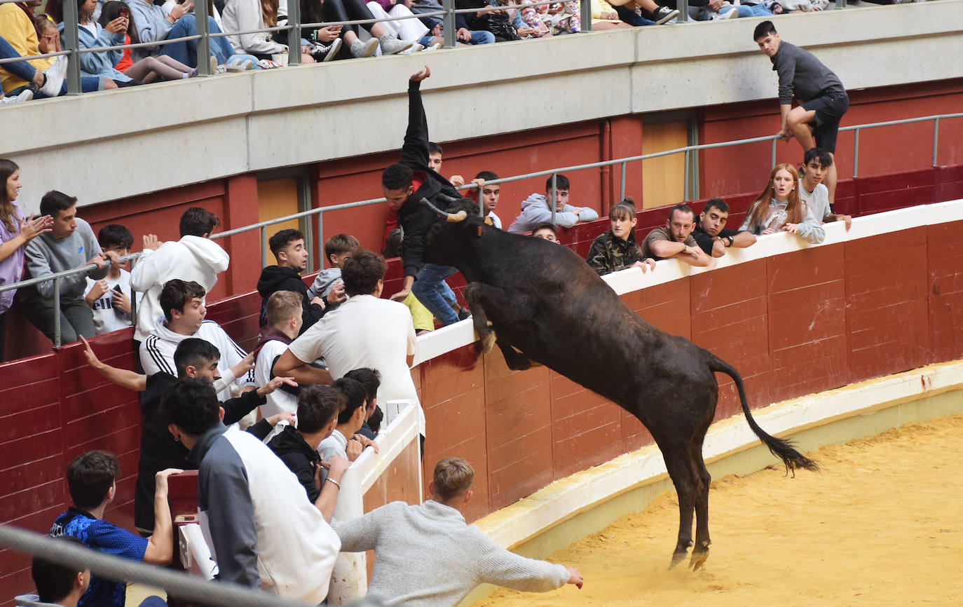 Fotos: Animación y saltos en las vaquillas del martes