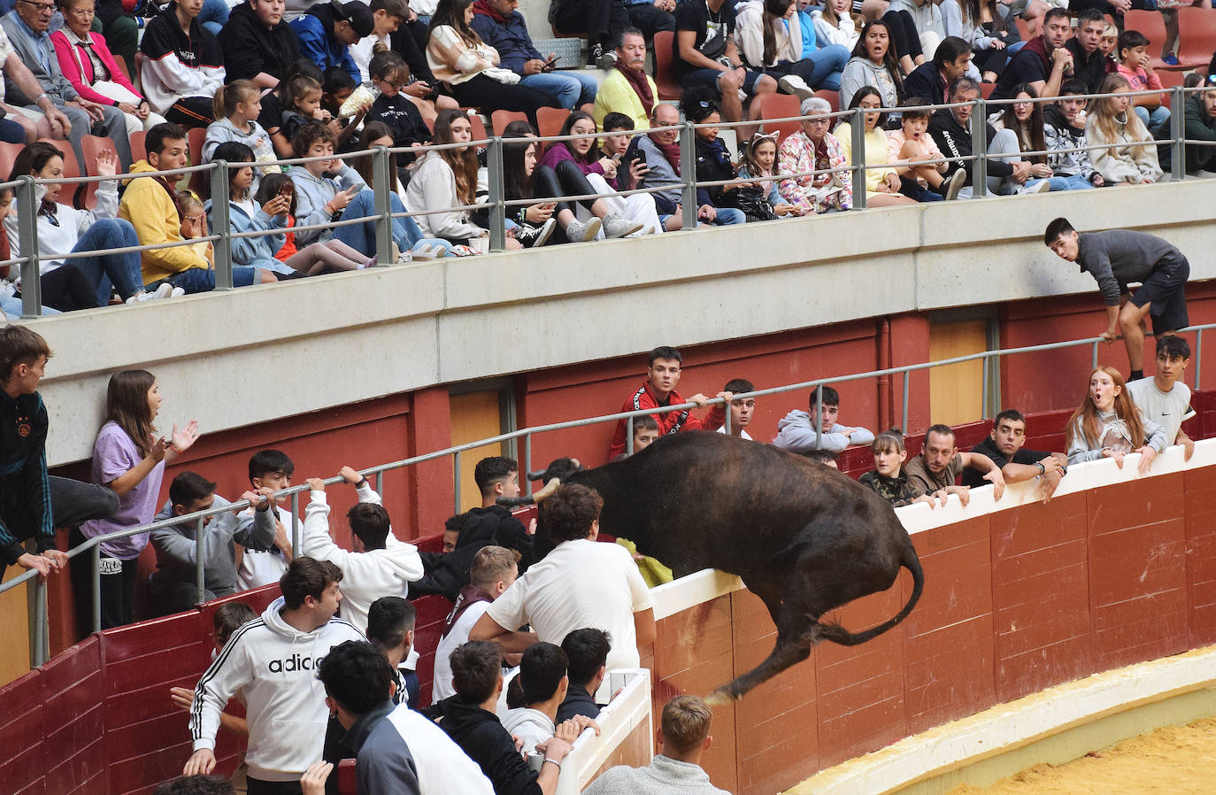 Fotos: Animación y saltos en las vaquillas del martes