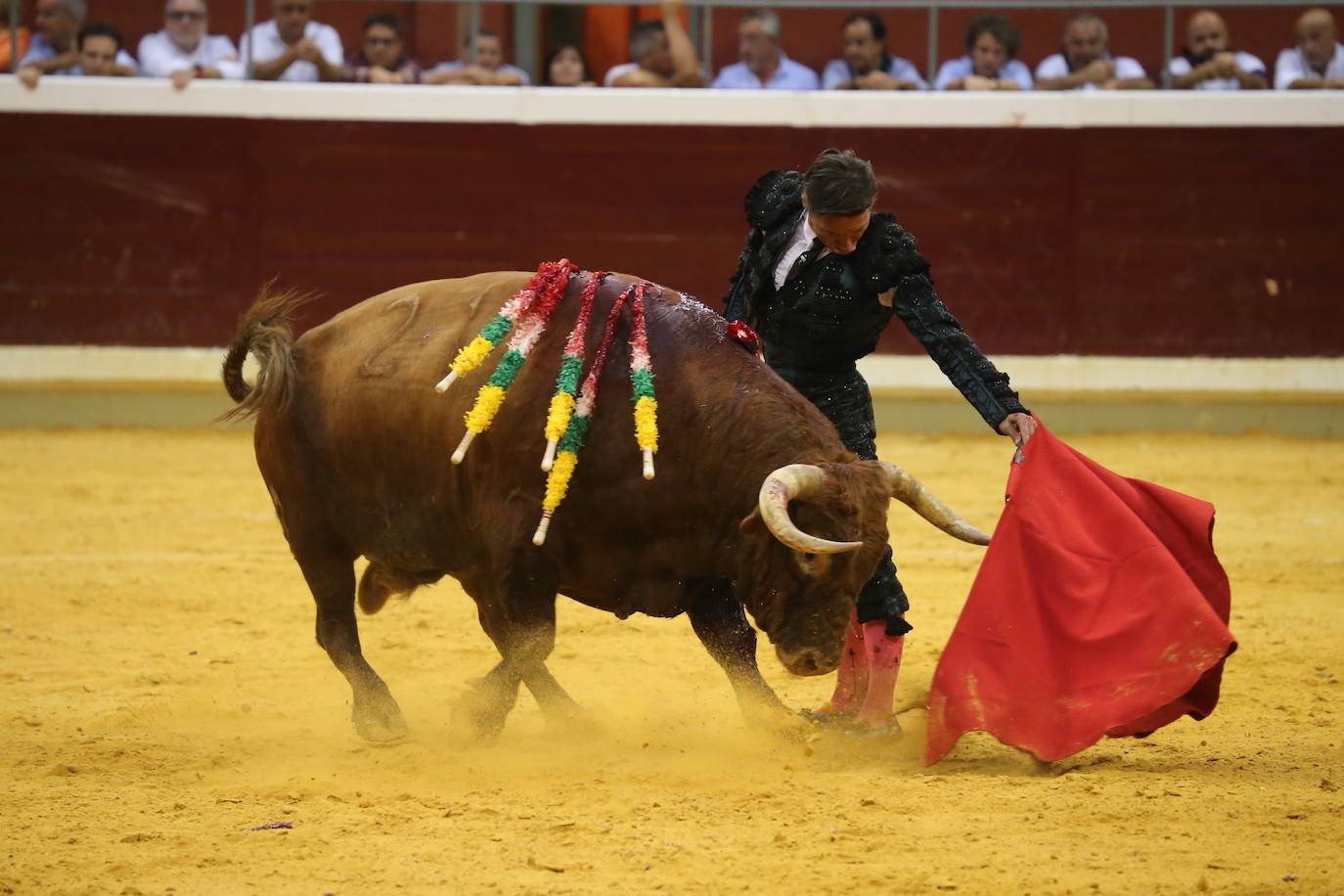 Fotos: Roca Rey y Urdiales salen a hombros en La Ribera