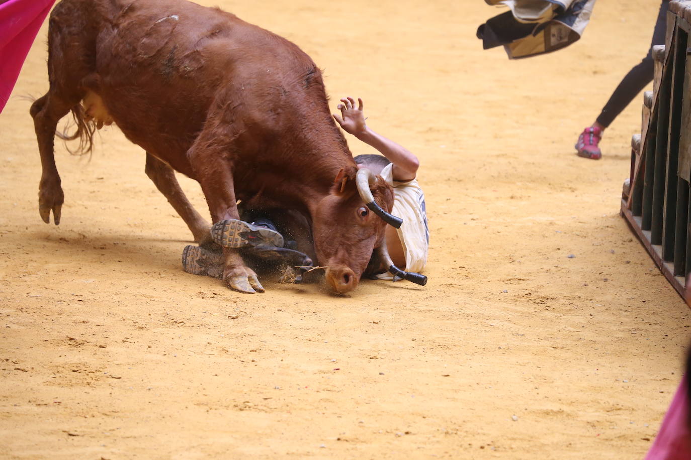 Fotos: Saltos, recortes y algunos sustos en La Ribera