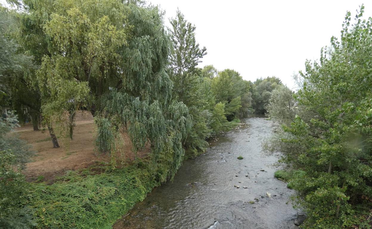 Río Tirón a su paso por el municipio jarrero. 