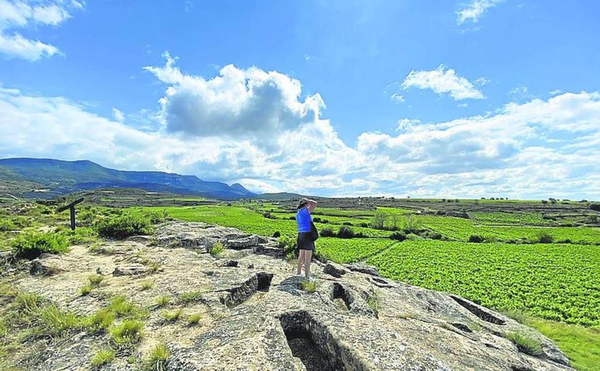 Necrópolis de San Andrés, en San Vicente, rodeada de viñas.