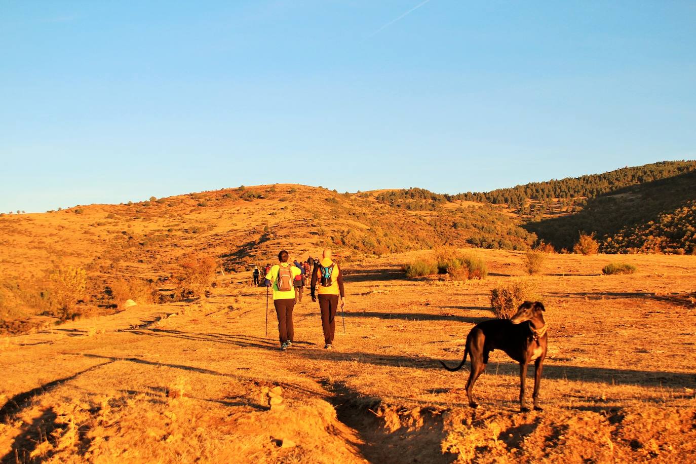 Fotos: Más de 300 senderistas recorren la Sierra de Cebollera