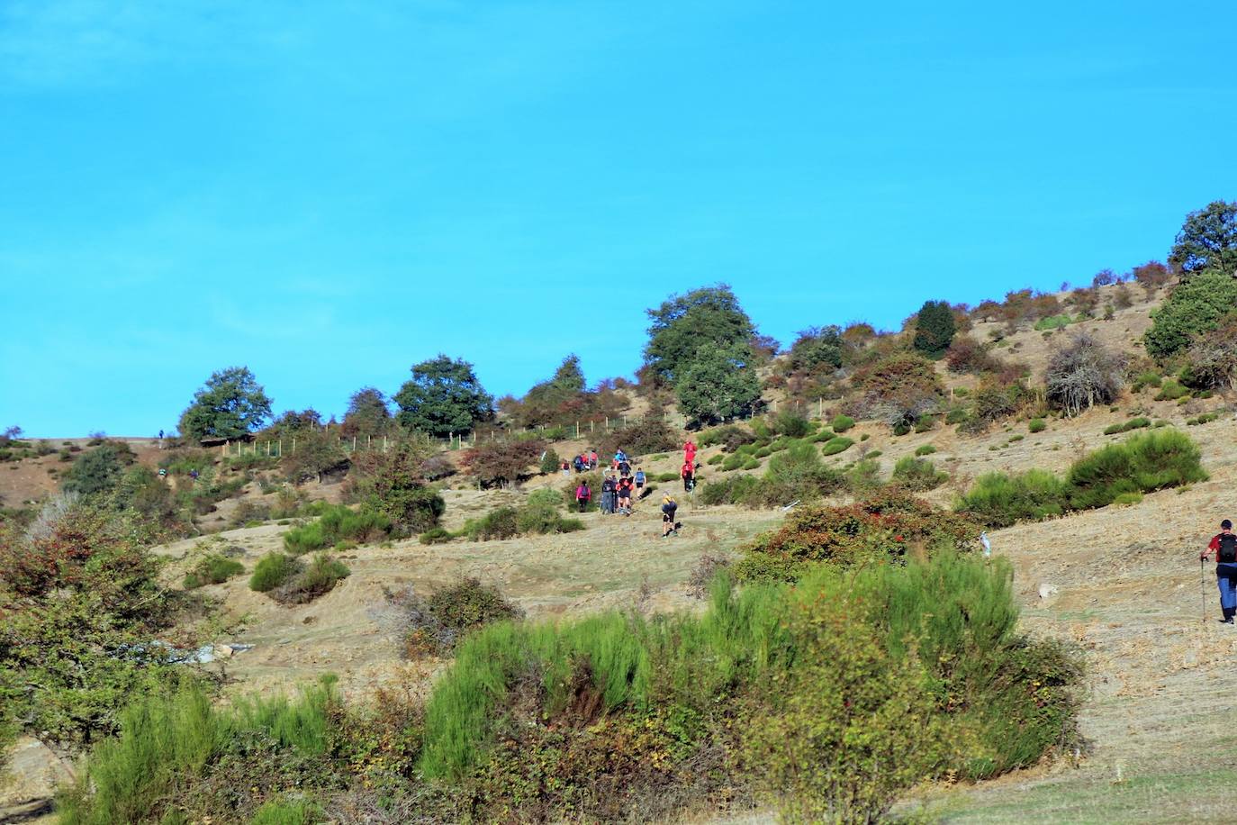 Fotos: Más de 300 senderistas recorren la Sierra de Cebollera