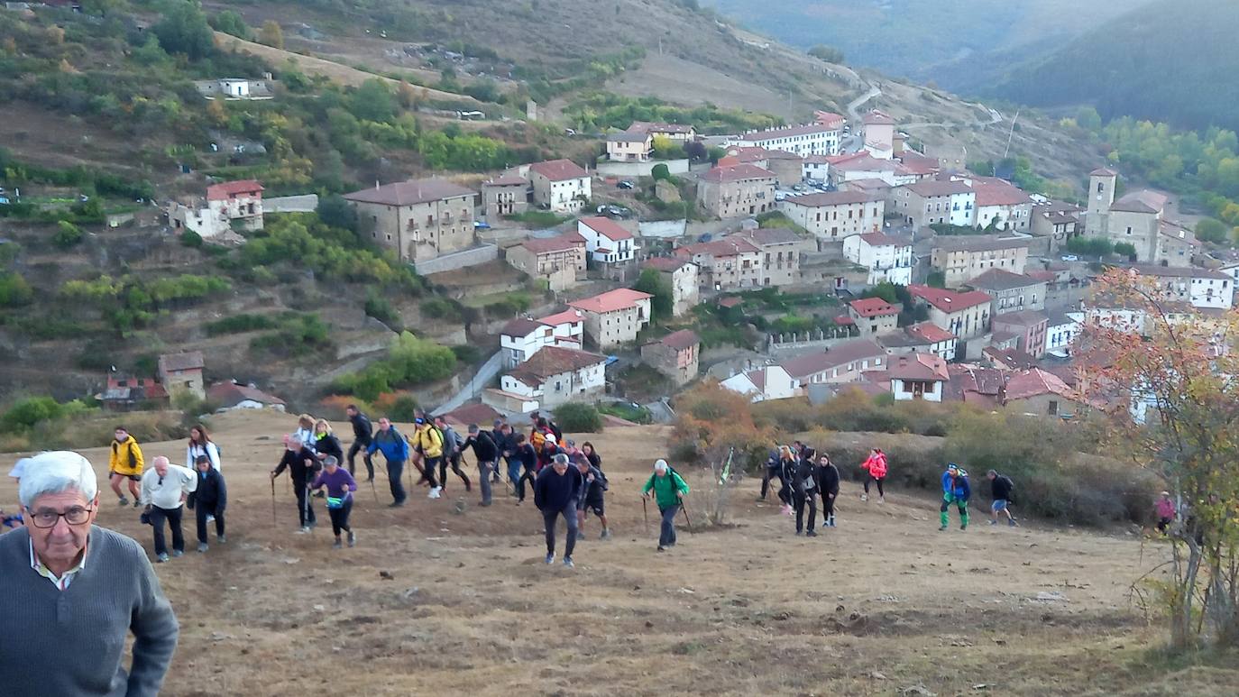 Fotos: Más de 300 senderistas recorren la Sierra de Cebollera