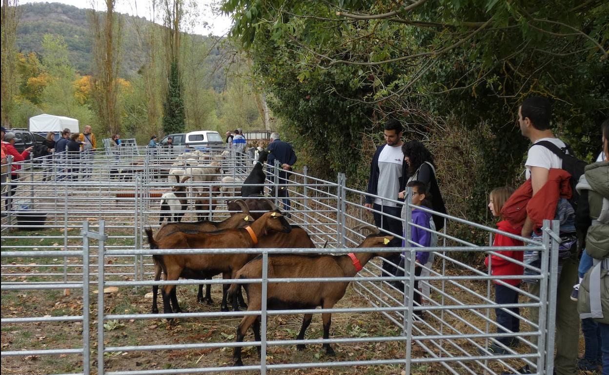 Lo mejor del campo riojalteño en la feria agroalimentaria de Ojacastro