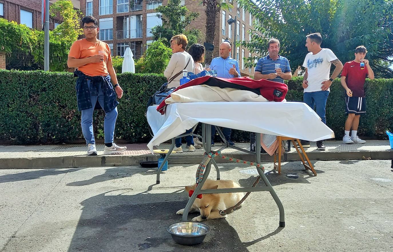Fotos: Concurso de tortillas en Lardero por las fiestas de Gracias