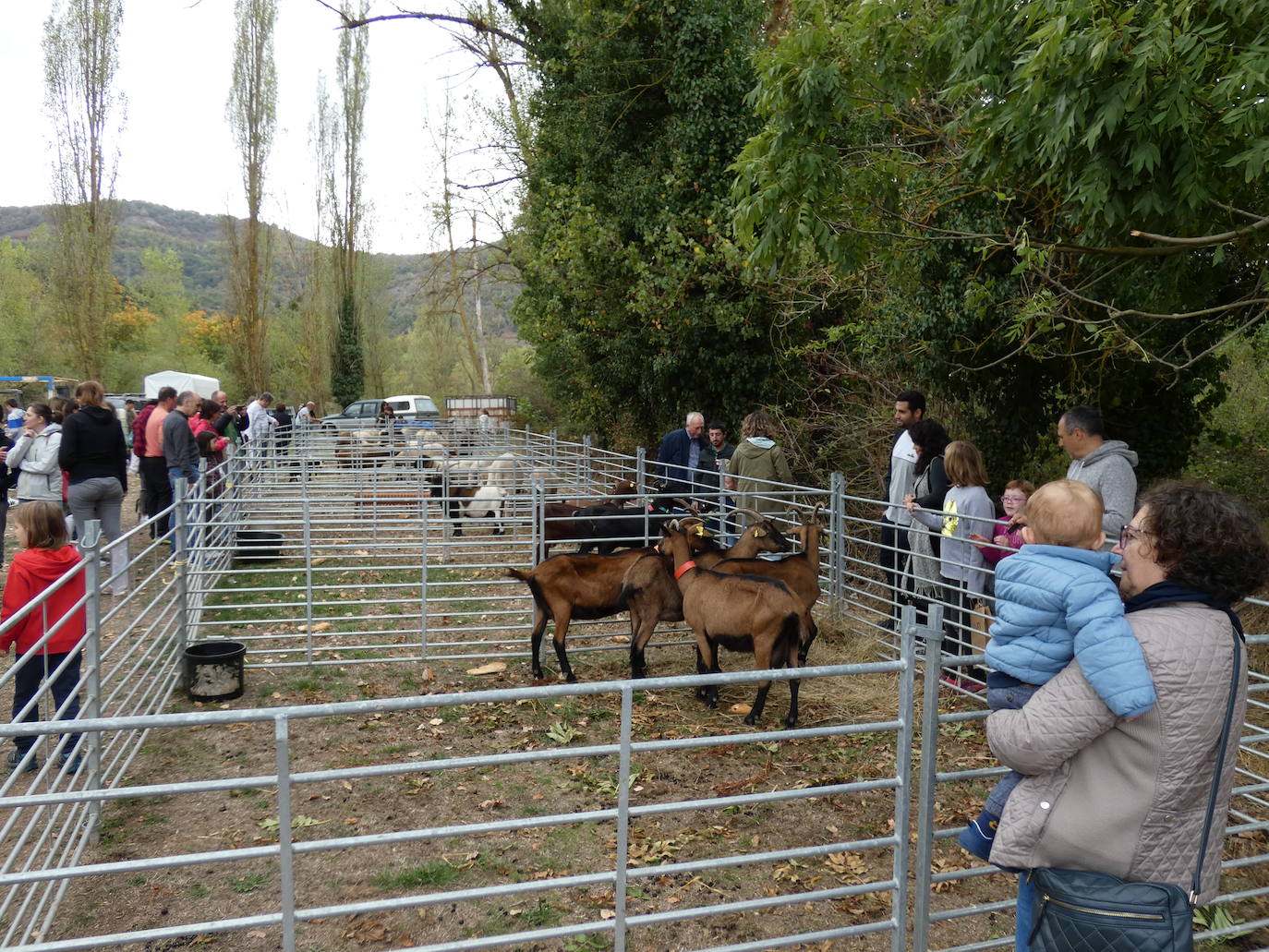 Fotos: Feria ganadera y de artesanía agroalimentaria de Ojacastro