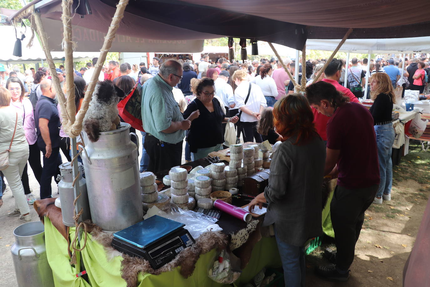 Fotos: Jornada de degustación de carne de la Sierra riojana en Enciso