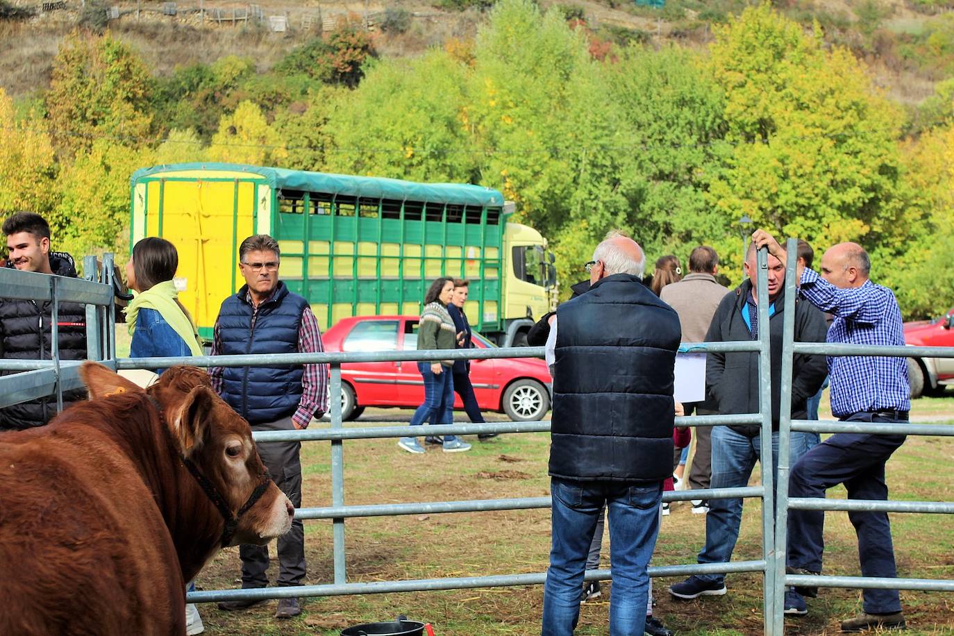 Fotos: Lo más granado de la ganadería camerana