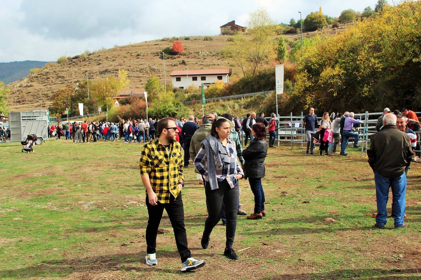 Fotos: Lo más granado de la ganadería camerana