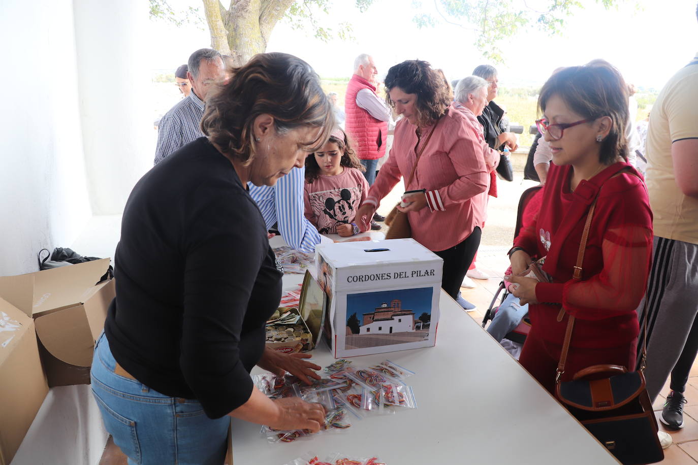 Fotos: La tradición del Pilar se reinventa en Alfaro