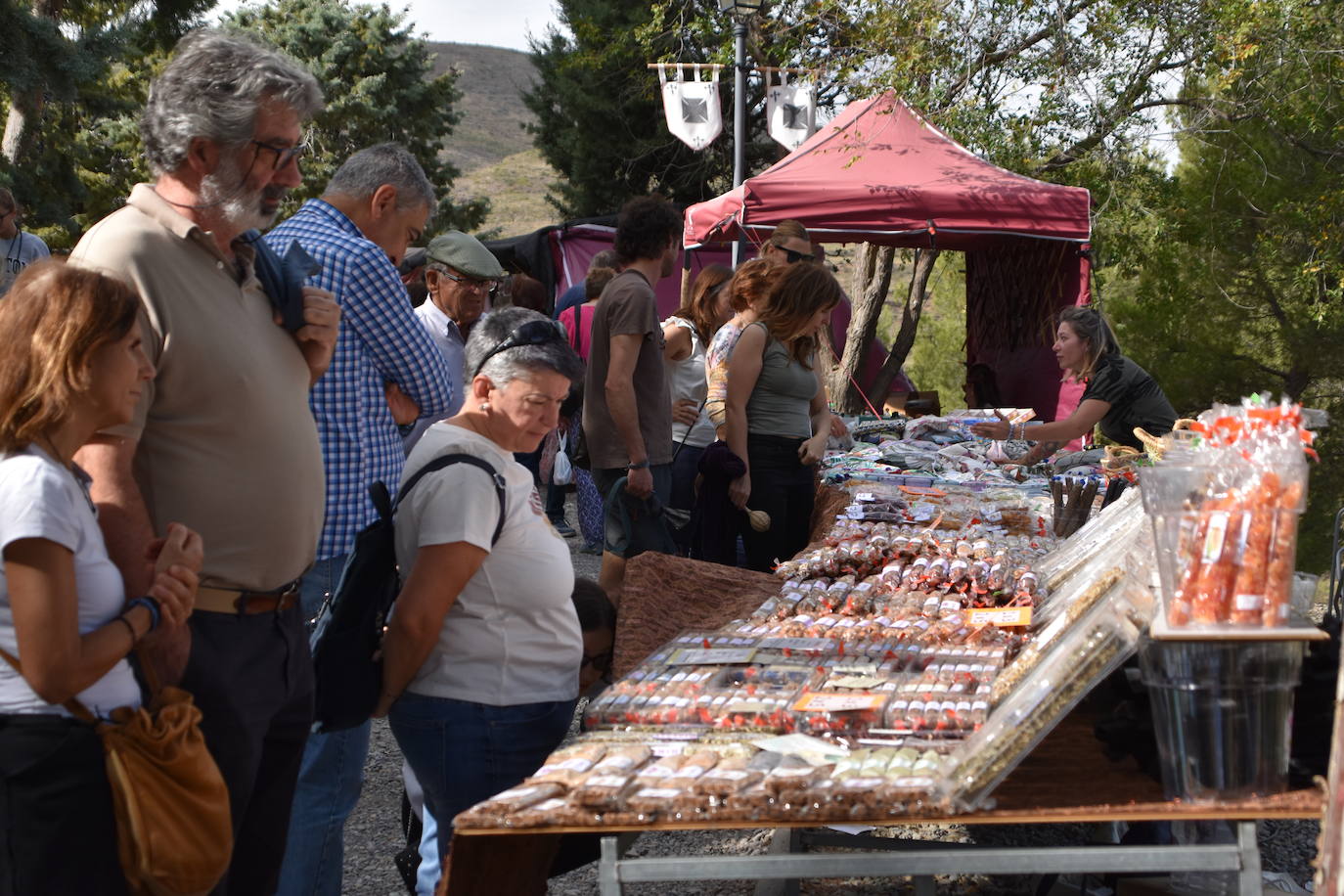 Fotos: XV Jornadas de Artesanía Medieval de Cornago