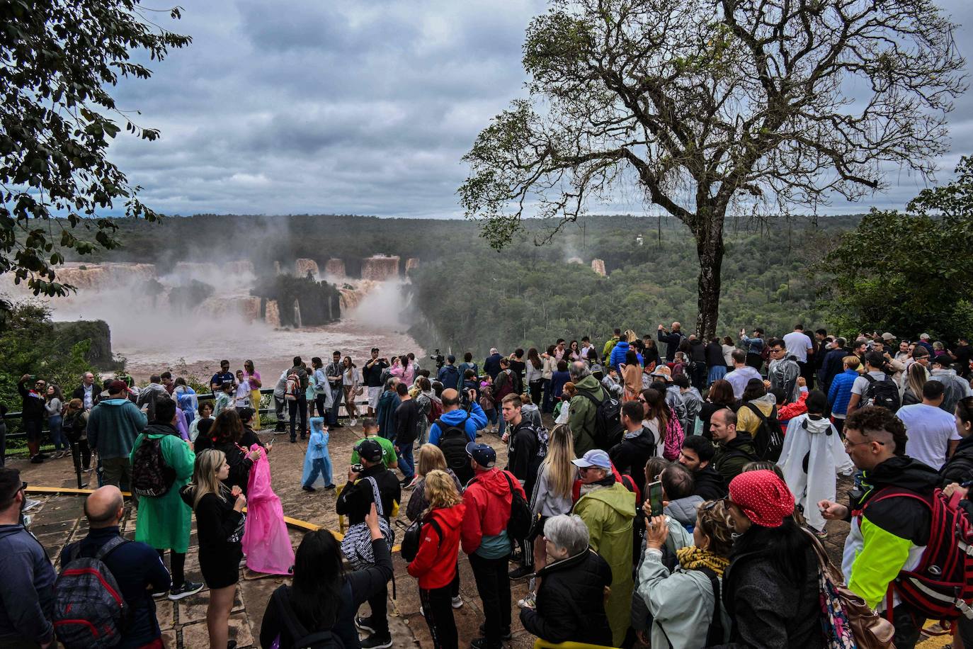 Fotos: Las cataratas de Iguazú se desbordan por las fuertes lluvias