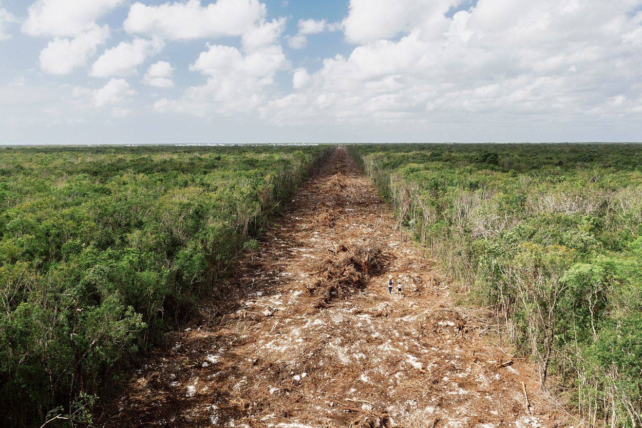 La selva de la Península de Yucatán donde se construirá el Tren Maya