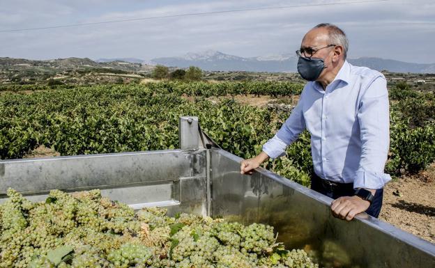 Ramiro González «respeta» el proyecto de Viñedos de Álava pero aboga por diferenciar el Rioja Alavesa dentro de Rioja