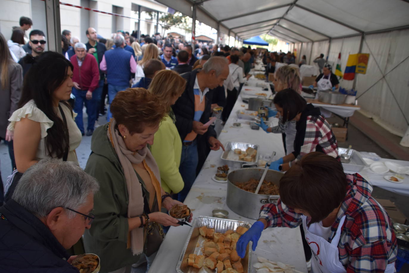 Fotos: Degustaciones y cocina en directo en las Jornadas de la seta y el champiñón en Autol