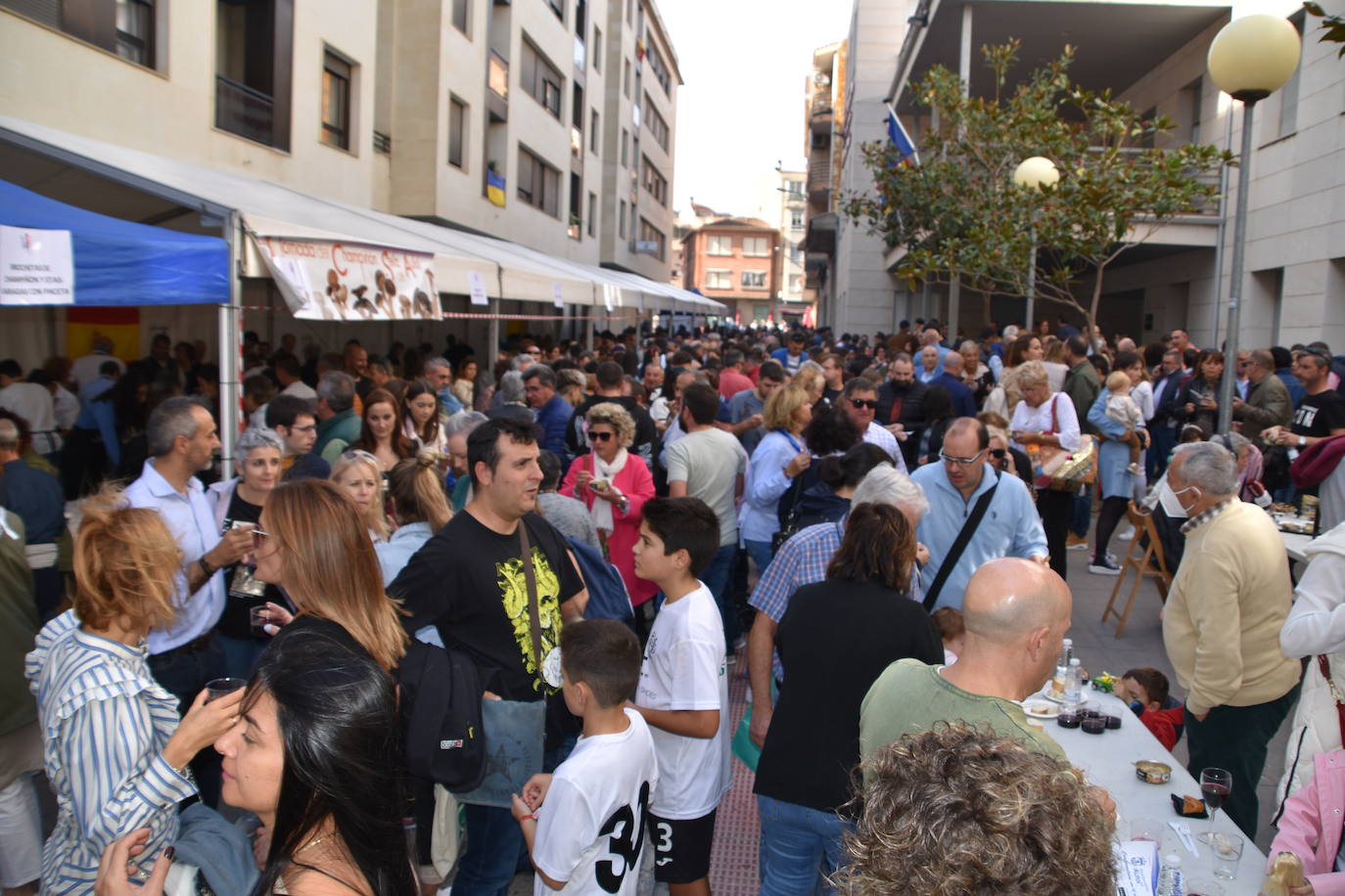 Fotos: Degustaciones y cocina en directo en las Jornadas de la seta y el champiñón en Autol